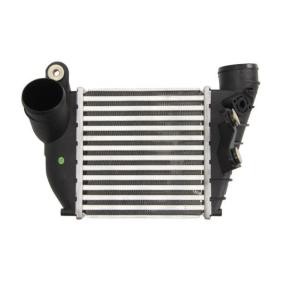 Compre Intercooler de THERMOTEC online para Octavia I Combi (1U5) a precios moderados