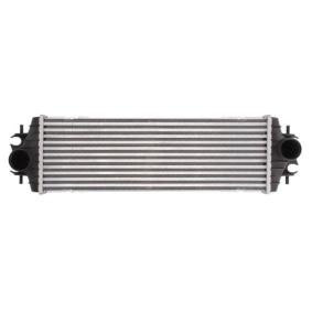 Kjøp Intercooler av THERMOTEC DAR009TT til den lave prisen 1430,70 NOK
