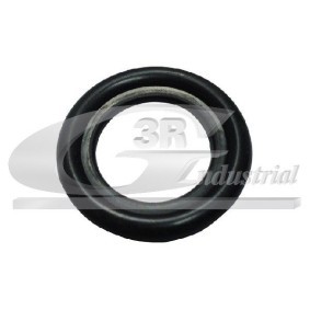 Compre Suporte de apoio do conjunto mola / amortecedor da 3RG 45800 a um preço baixo por 23,11 €