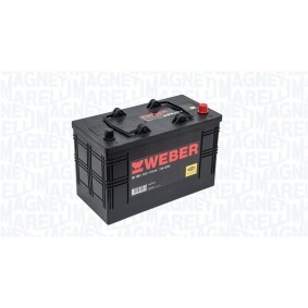 Batterie von MAGNETI MARELLI