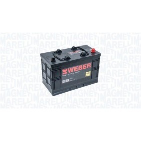 Batterie von MAGNETI MARELLI