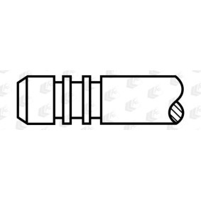 Acquista Valvola di scarico da AE V80019 a buon mercato per soli 10,06 €