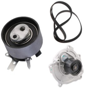 Achetez des Kit de distribution + pompe à eau RIDEX 3096W0144 à prix pour 95,04 €