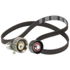Achetez des Kit de distribution RIDEX 307T0195 à prix pour 69,45 €