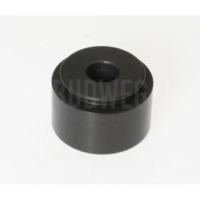 Comprar Émbolo, pinza del freno de BUDWEG CALIPER 234430 a bajo precio de 16,01 €