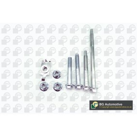 Compre Pernos de fixação, braço transversal da BGA BU4216 a um preço baixo por 19,38 €