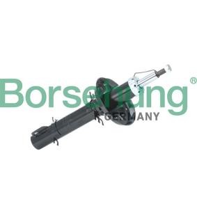 Stoßdämpfer von Borsehung B18687