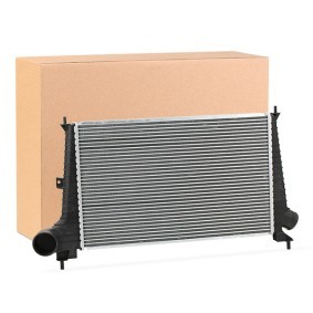 Kjøp Intercooler av RIDEX 468I0073 til den lave prisen 1704,16 NOK