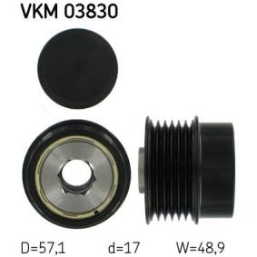 Achetez des Poulie roue libre, alternateur SKF VKM 03830 à prix pour 75,04 €