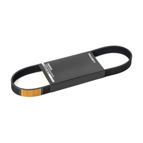 Achetez des Courroie Poly-V RIDEX 305P0384 à prix pour 7,49 €