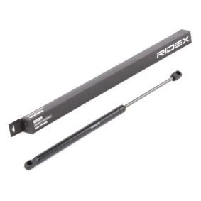 Heckklappendämpfer 219G0768 von RIDEX günstig für 10,58 € online kaufen