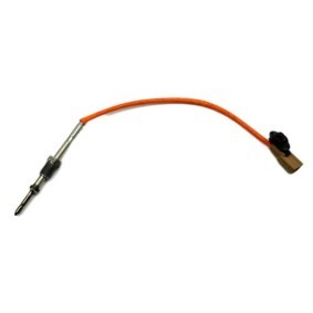 Abgastemperatursensor von VEGAZ