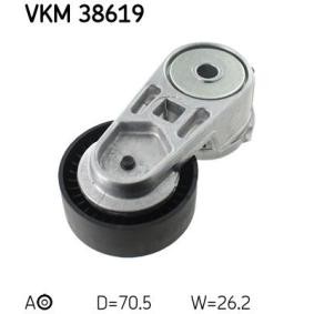 Compre Rolo tensor, correia trapezoidal estriada da SKF VKM 38619 a um preço baixo por 61,63 €