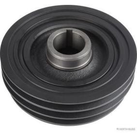 Achetez des Poulie damper de chez HERTH+BUSS JAKOPARTS en ligne pour PAJERO IV (V8_W, V9_W) à prix modérés