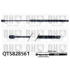 Achetez des Vérin de coffre QUINTON HAZELL QTS828561 à prix pour 52,96 €