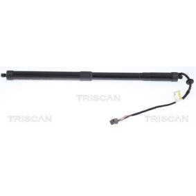 Heckklappendämpfer von TRISCAN 8710 17301