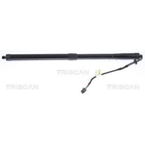 Heckklappendämpfer von TRISCAN 8710 17304