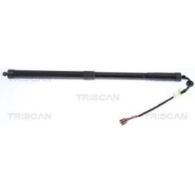 Heckklappendämpfer von TRISCAN 8710 17305