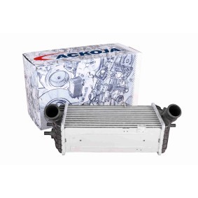 Umlenkrolle, Zahnriemen von ACKOJA für ECLIPSE III (D5_A) günstig online kaufen