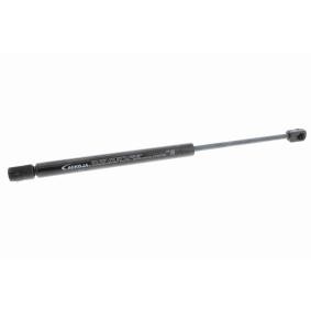 Compre Mola pneumática, óculo traseiro da ACKOJA A52-0113 a um preço baixo por 12,52 €