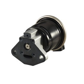 AGR-Ventil 6NU 010 171-731 für HONDA