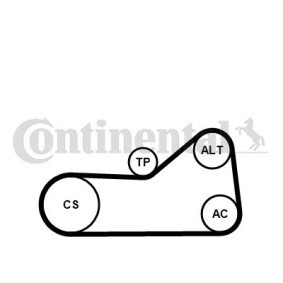 Acquista Pompa acqua + Kit cinghia Poly V da CONTITECH 6PK976WP2 a buon mercato per soli 98,48 €