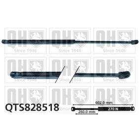 Achetez des Vérin de coffre QUINTON HAZELL QTS828518 à prix pour 29,13 €