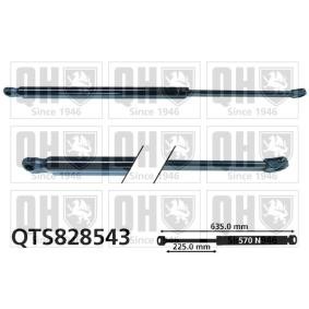 Achetez des Vérin de coffre QUINTON HAZELL QTS828543 à prix pour 46,55 €