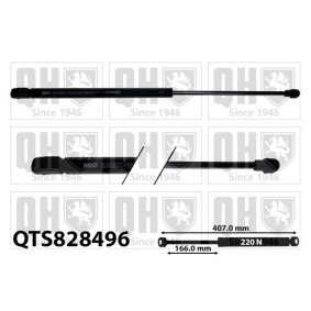 Achetez des Vérin de coffre QUINTON HAZELL QTS828596 à prix pour 61,82 €