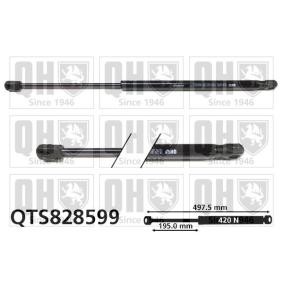 Achetez des Vérin de coffre QUINTON HAZELL QTS828599 à prix pour 32,92 €