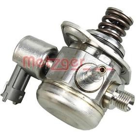 Osta Korkeapainepumppu METZGER:llä 2250299 edullisesti hintaan 413,80 €