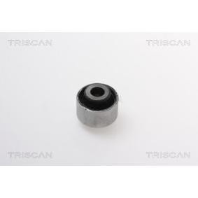 Lagerung, Lenker von TRISCAN