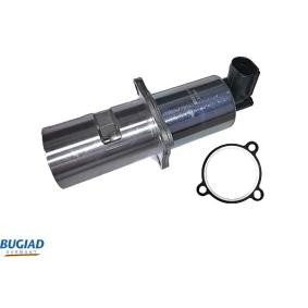 Acquista Valvola EGR da BUGIAD BGR13036 a buon mercato per soli 69,62 €
