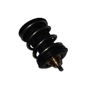 Achetez des Thermostat de chez BUGIAD en ligne pour YETI (5L) à prix modérés