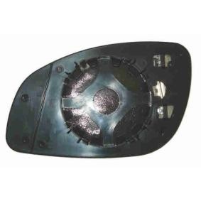 Spiegelglas, Außenspiegel V40-69-0038