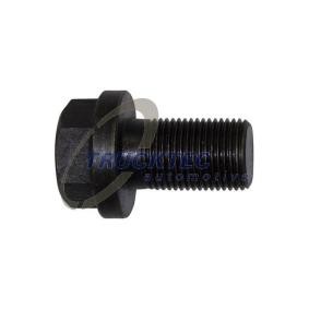 Acquista Bullone, Supporto cuscinetto albero a gomiti da TRUCKTEC AUTOMOTIVE 01.15.133 a buon mercato per soli 6,20 €