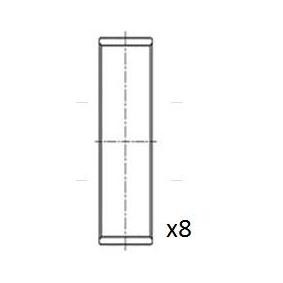 Pleuellager BB2021-STD