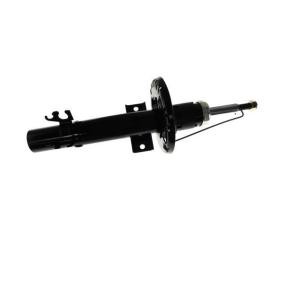 Stoßdämpfer von AUTOMEGA 210177810