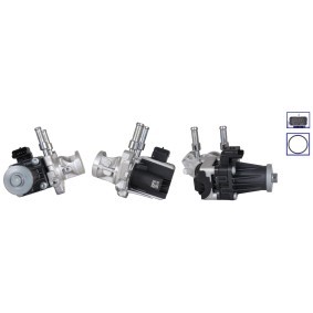 Acquista Valvola EGR da DRI 717730371 a buon mercato per soli 223,31 €