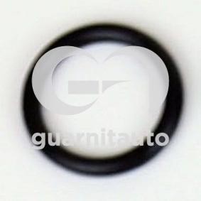 Ansaugkrümmerdichtung von GUARNITAUTO