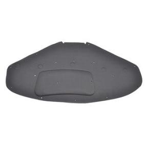Compre Isolamento do compartimento do motor da BSG BSG 15-922-006 a um preço baixo por 42,66 €