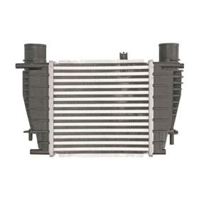 Kjøp Intercooler av THERMOTEC DA1003TT til den lave prisen 1180,08 NOK