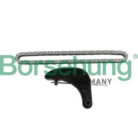 Steuerkettensatz B18850 VOLKSWAGEN FOX von Borsehung