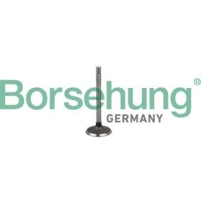 Compre Válvula de admisión de Borsehung online para Ibiza IV Hatchback (6J5, 6P1) a precios moderados