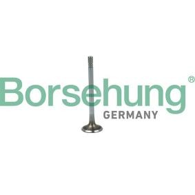 Compre Válvula de admisión de Borsehung online para Toledo IV Hatchback (KG3) a precios moderados