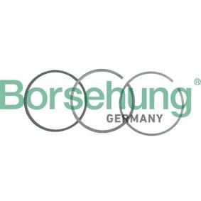 Acquista Kit fasce elastiche da Borsehung B19043 a buon mercato per soli 19,81 €