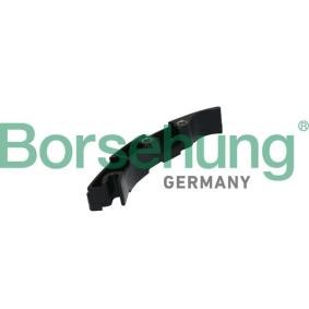 Gleitschiene, Steuerkette von Borsehung B1G022