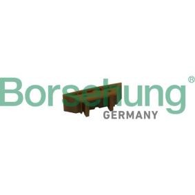 Gleitschiene, Steuerkette B1G023 VOLKSWAGEN TOUAREG von Borsehung