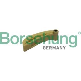 Gleitschiene, Steuerkette B1G025 VOLKSWAGEN BORA von Borsehung