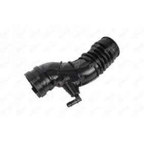 Acquista Tubo aspirazione filtro aria da IBRAS 11456 a buon mercato per soli 57,57 €